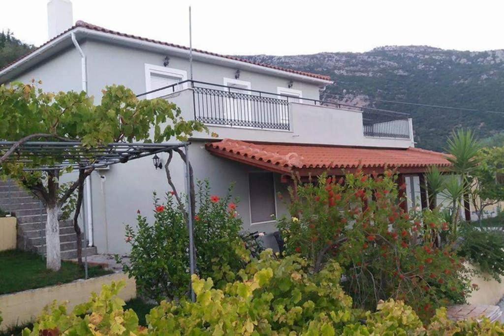 Apartment With Private Pool For Rent In Tzanata Kefalonia Dhimisianata Екстер'єр фото