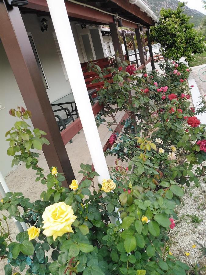 Apartment With Private Pool For Rent In Tzanata Kefalonia Dhimisianata Екстер'єр фото
